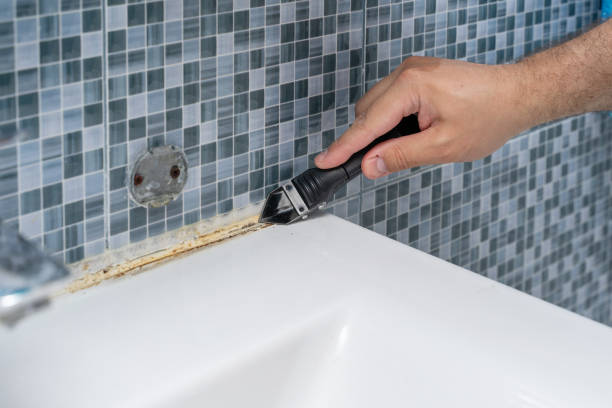 Best Mold Remediation for Specific Building Types in Lesslie, SC